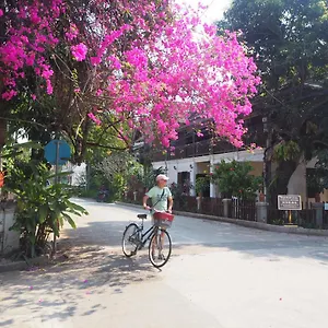 Wisdom Laos Guest house